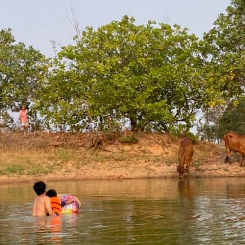 สมาชิกหมายเลข 1004391