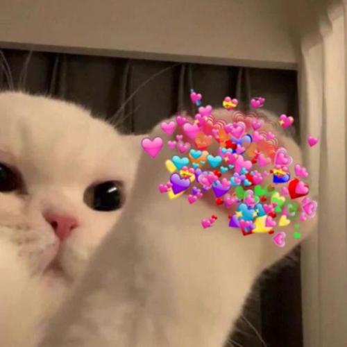 สมาชิกหมายเลข 7279782