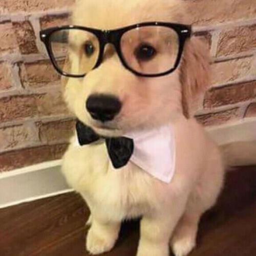 สมาชิกหมายเลข 8046991