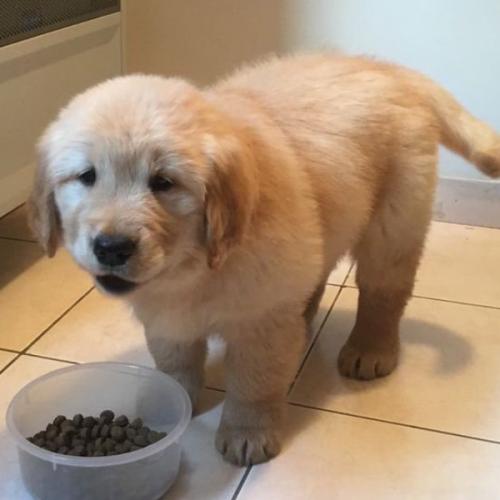 สมาชิกหมายเลข 8420606