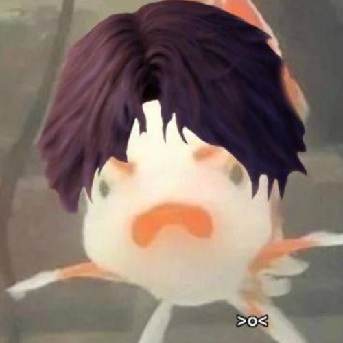 สมาชิกหมายเลข 8472030