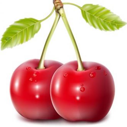 สมาชิกหมายเลข 2545810