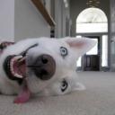 สมาชิกหมายเลข 4020693