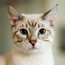 สมาชิกหมายเลข 4466373