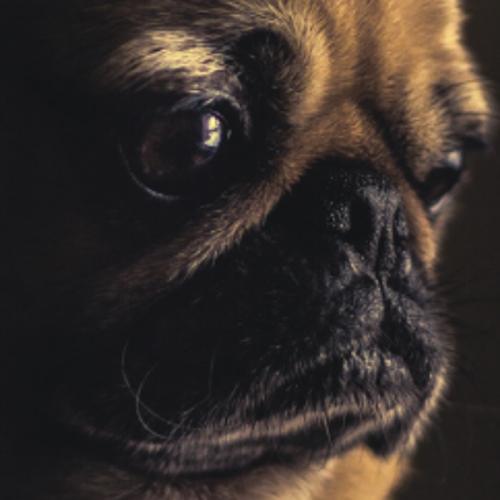 สมาชิกหมายเลข 5592770