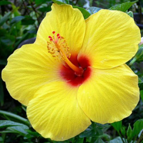 สมาชิกหมายเลข 6155709