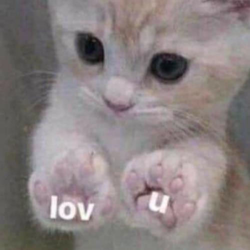 สมาชิกหมายเลข 5923006