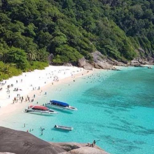 สมาชิกหมายเลข 7557042