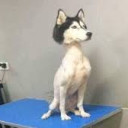 สมาชิกหมายเลข 4466665