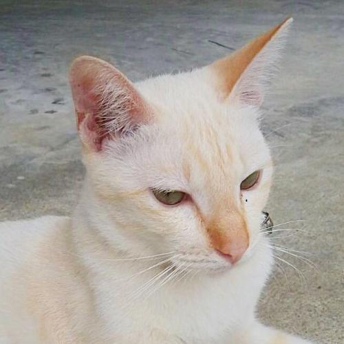 สมาชิกหมายเลข 1699591