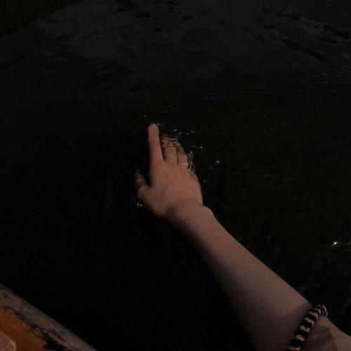 สมาชิกหมายเลข 4594061