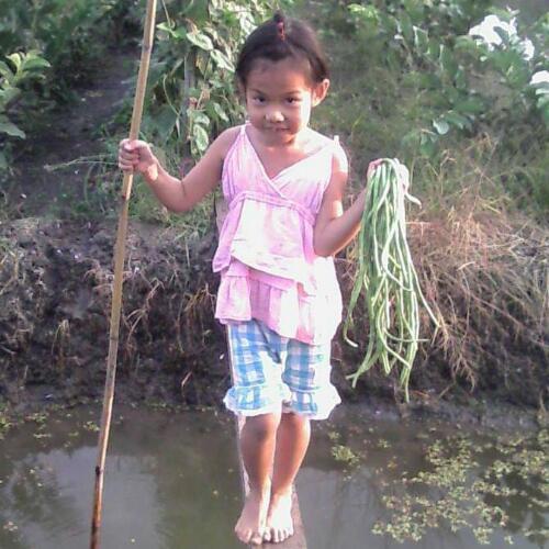 สมาชิกหมายเลข 5184972