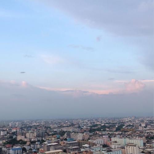 สมาชิกหมายเลข 3490233