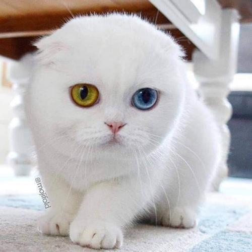 สมาชิกหมายเลข 5593250