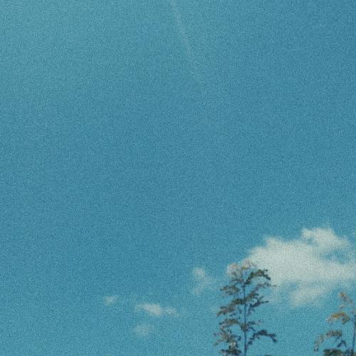 สมาชิกหมายเลข 4597300