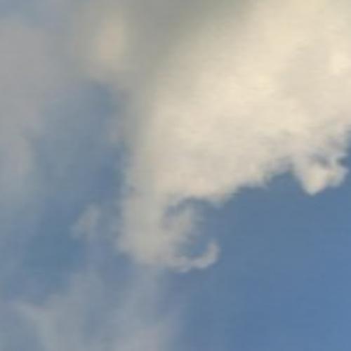 สมาชิกหมายเลข 6595005