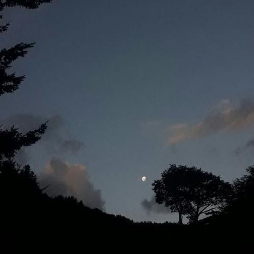 สมาชิกหมายเลข 6785206