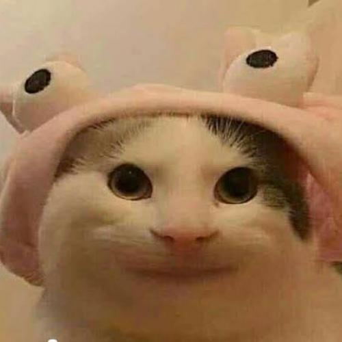 สมาชิกหมายเลข 4875897