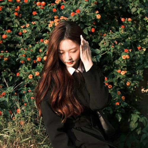 สมาชิกหมายเลข 5126946