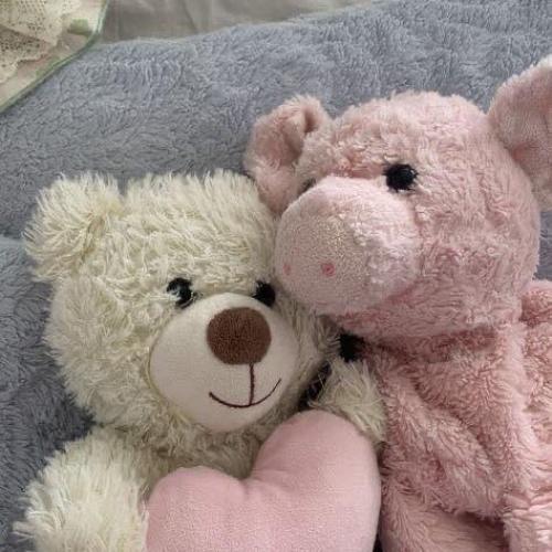 สมาชิกหมายเลข 7557989